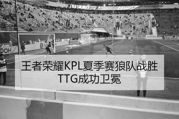 王者荣耀KPL夏季赛狼队战胜TTG成功卫冕